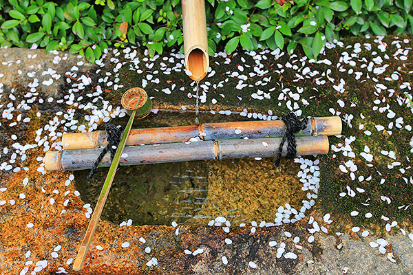 ���s�@�������@�t