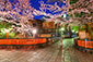 京都　桜　高画質　画像