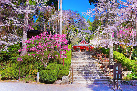 �O��@�@�t�@�ʐ^