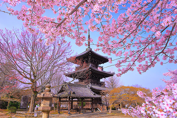 �^�@���@���@�摜