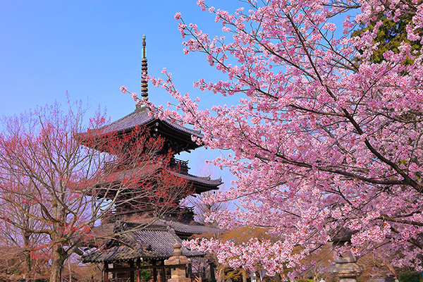 �^�@���@��