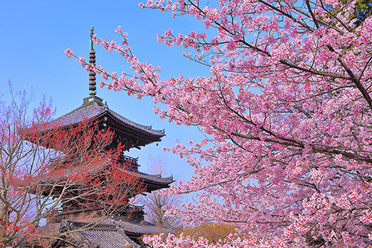 �^�@���@���@�ʐ^