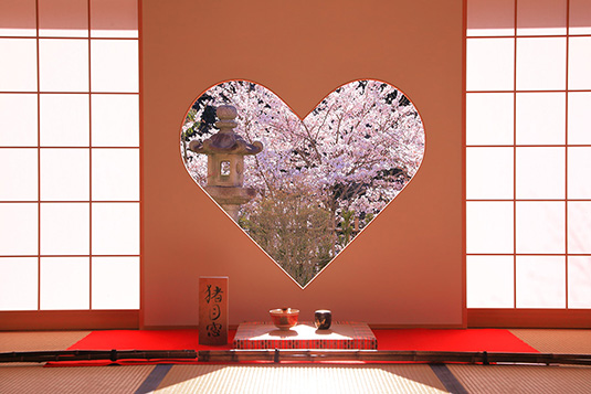 正寿院　桜