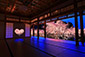 正寿院　夜桜　ライトアップ