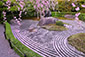 退蔵院　桜　庭園
