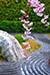 妙心寺退蔵院の桜