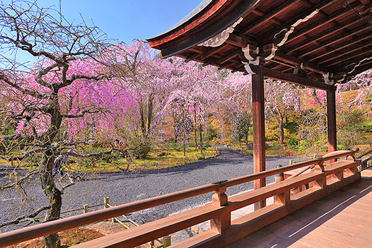 �V�����@������@�ʐ^