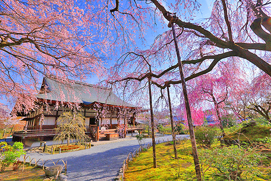 �V�����@������