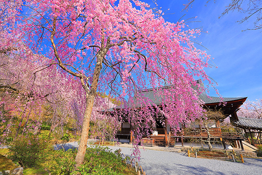 �V������