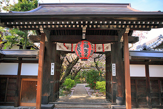 �J��@�@�t�@�ʐ^