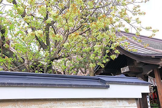 �J��@�@��߉��@��