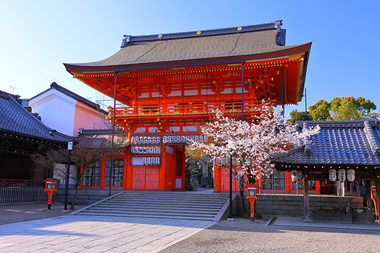 八坂神社　桜