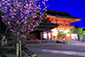八坂神社　桜　ライトアップ