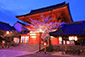 八坂神社　桜　ライトアップ