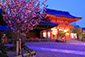 八坂神社　夜桜　ライトアップ