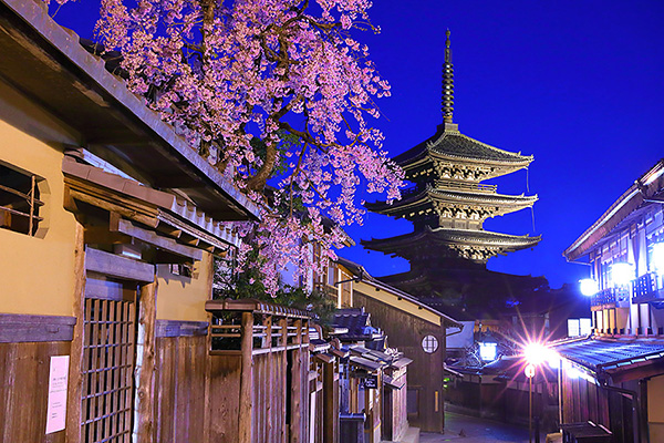 八坂の塔　桜　高画質写真