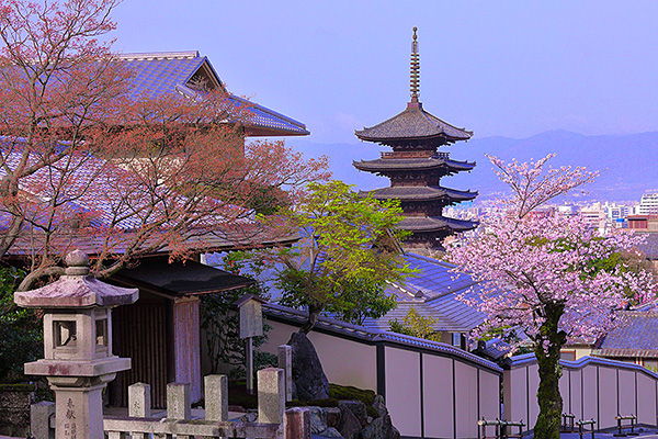 京都　八坂の塔　桜