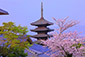 京都市　八坂の塔　塔と桜