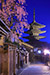 八坂の塔　夜桜　縦位置写真