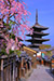 京都　八坂の塔　桜　縦位置画像