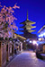 京都　八坂の塔　夜桜　花見　縦位置写真
