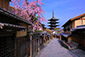京都観光名所　八坂の塔　桜