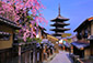 八坂の塔　桜　写真