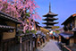 八坂の塔　絶景桜　高画質　写真