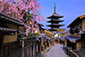 京都　八坂の塔　桜　五重塔
