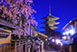八坂の塔　桜　写真