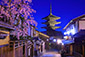 八坂の塔　桜　夜