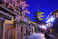 京都の桜　絶景　八坂の塔