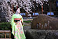 桜　舞妓　祇園白川　歌碑