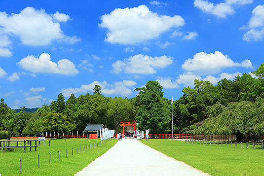 上賀茂神社の夏画像