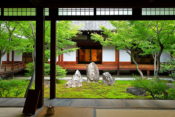 ���m���@�ʐ^