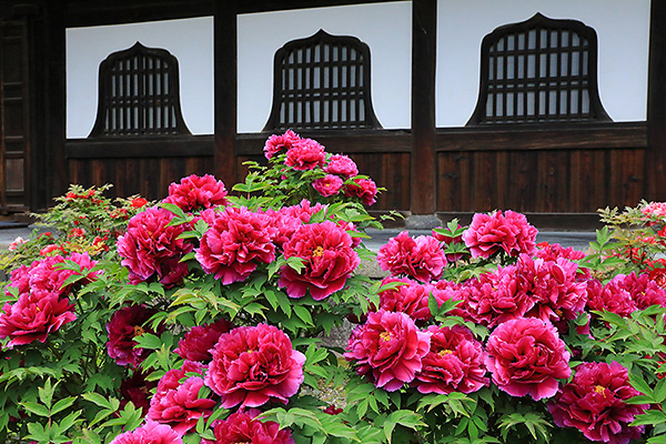 ���m���@�@��