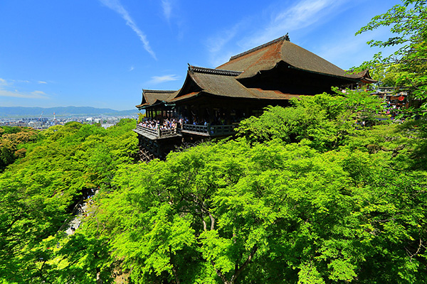 �������@���掿�@�摜