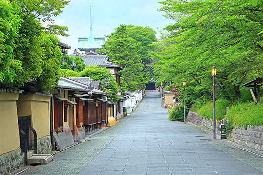 �˂˂̓��@���掿�摜