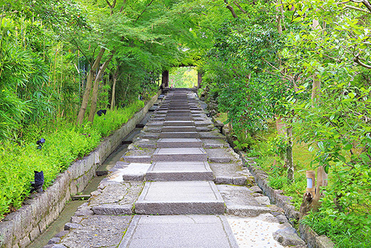 �˂˂̓��@�䏊��