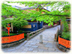 京都　祇園白川　画像