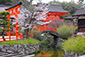 下鴨神社　桜　画像