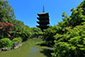 京都　東寺　庭園