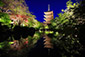 東寺　ライトアップ　画像