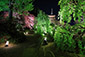 東寺　ライトアップ　写真