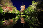 東寺　ライトアップ写真