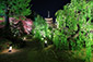 東寺　ライトアップ画像