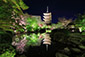 京都　東寺　瓢箪池　映り込み　ライトアップ