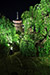 夜の東寺　ライトアップ　縦位置写真