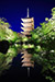 東寺　ライトアップ　縦位置画像