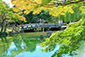 八坂神社　周辺の京都名所　円山公園